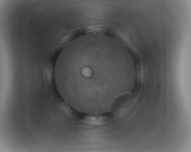 X0000113920712200909241530