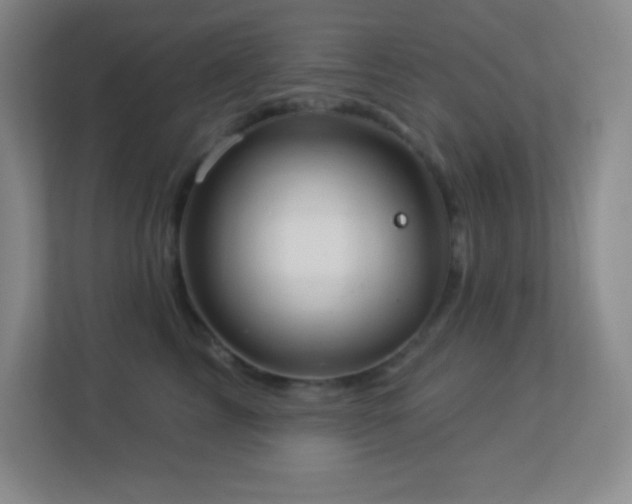 X0000113920713200909241530