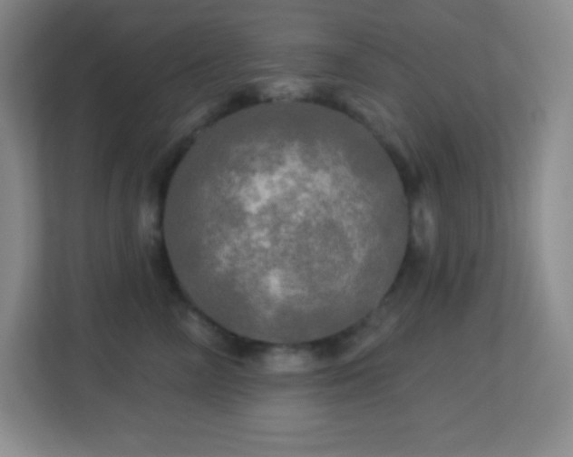 X0000113920714200909241530