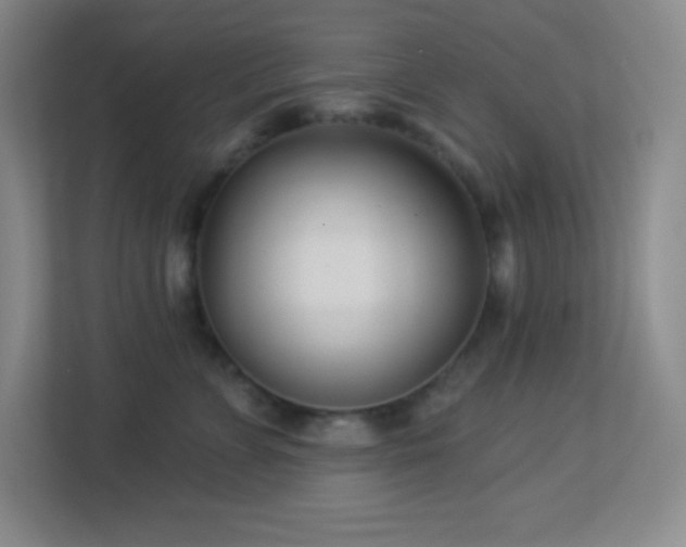 X0000113920715200909241530