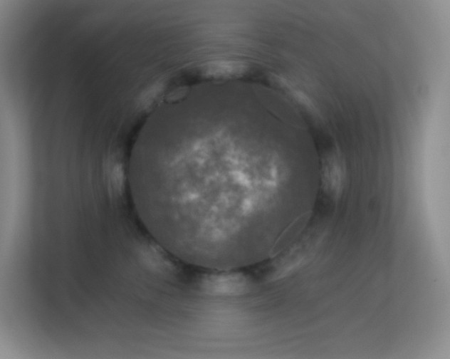 X0000113920716200909241530