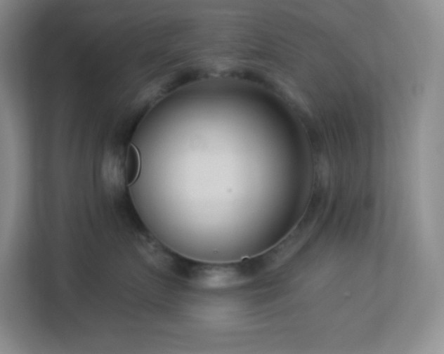 X0000113920719200909241530