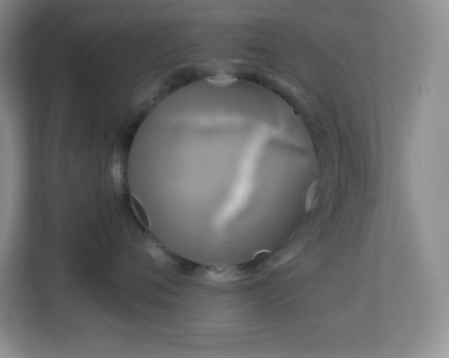 X0000113920720200909241530