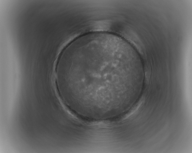 X0000113920721200909241529