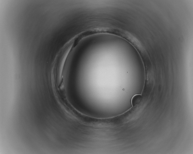 X0000113920722200909241529