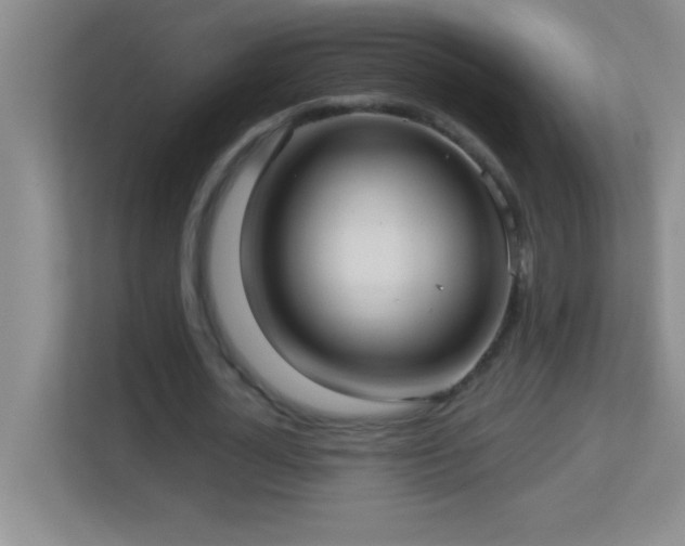 X0000113920724200909241529