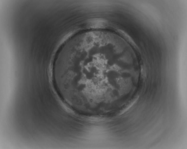 X0000113920725200909241529