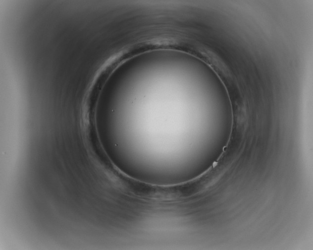 X0000113920727200909241529