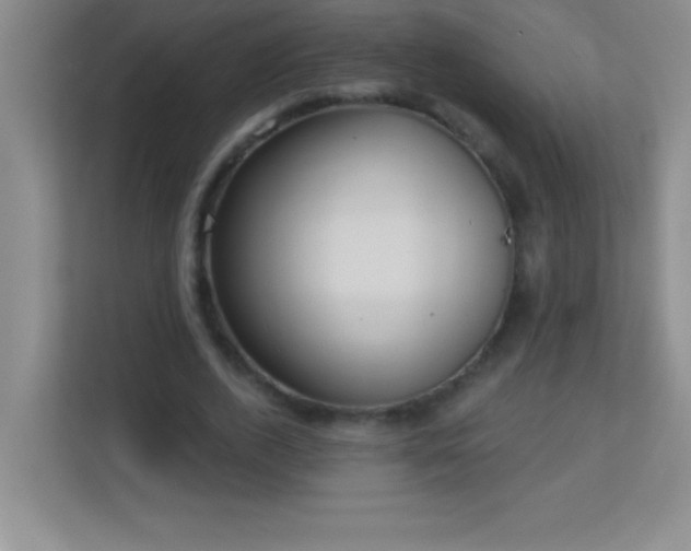 X0000113920728200909241529