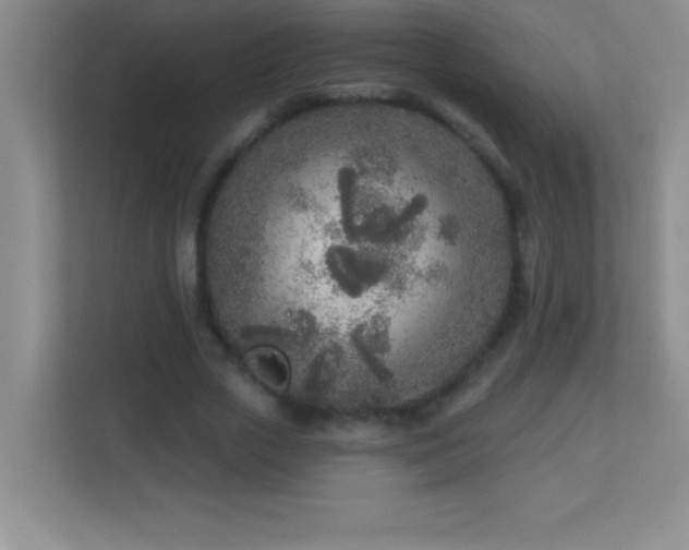 X0000113920729200909241529