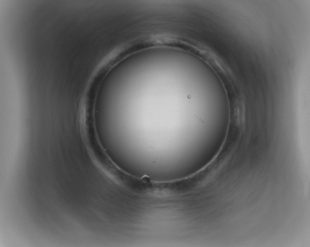 X0000113920730200909241529