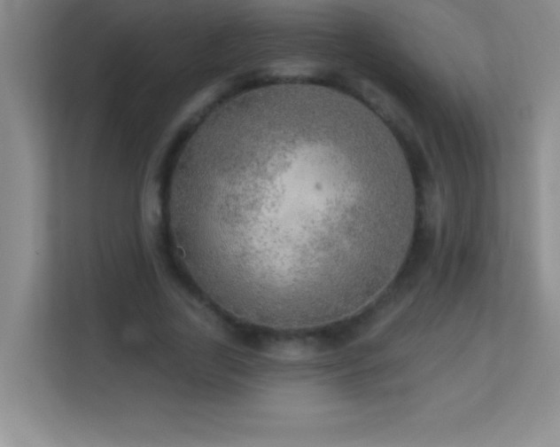 X0000113920731200909241529