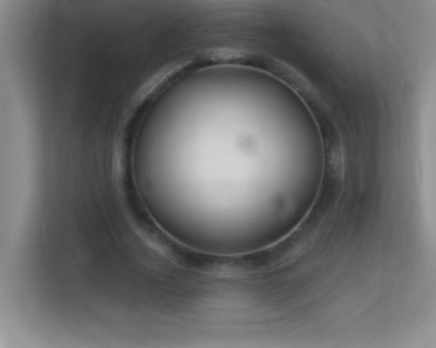 X0000113920732200909241529