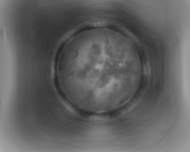 X0000113920733200909241529