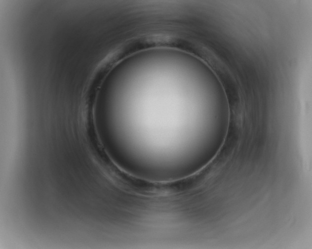 X0000113920735200909241529