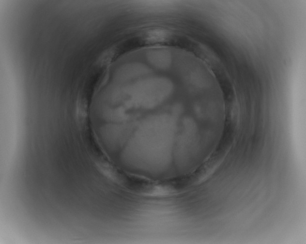 X0000113920737200909241529