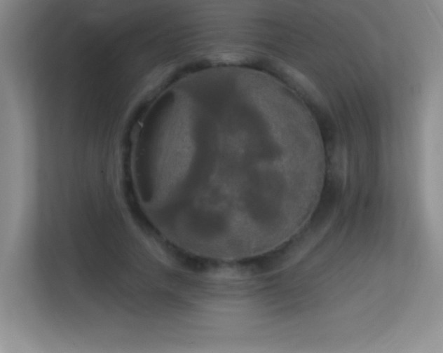 X0000113920738200909241529