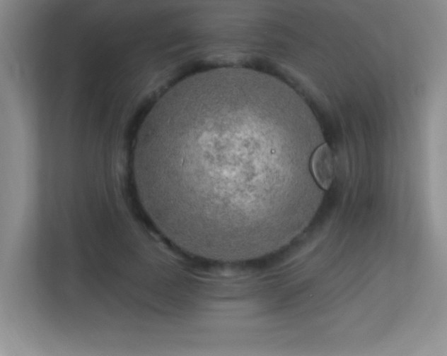 X0000113920739200909241529