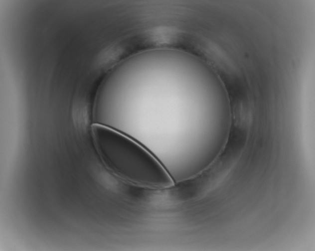 X0000113920740200909241529