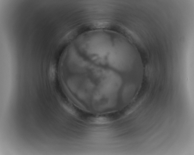 X0000113920741200909241529