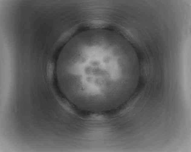 X0000113920742200909241529