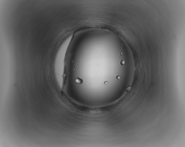 X0000113920744200909241529