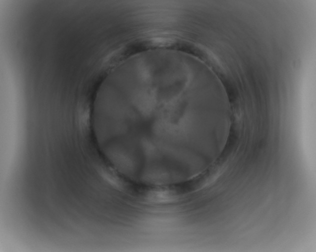 X0000113920745200909241529