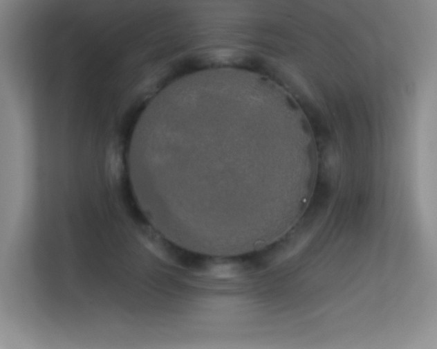 X0000113920746200909241529