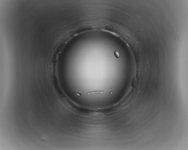 X0000113920748200909241529