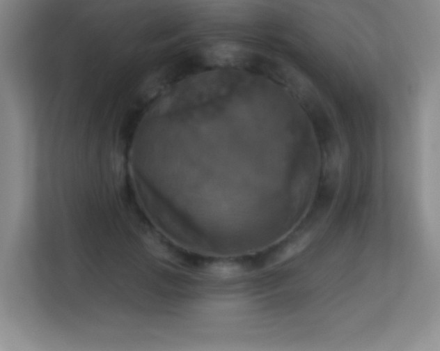 X0000113920749200909241529