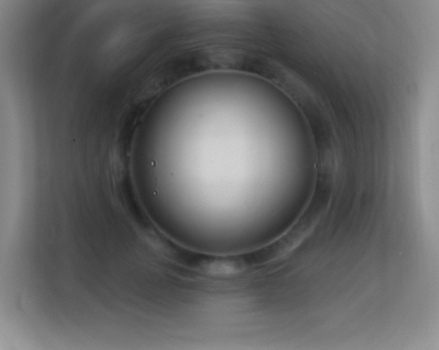 X0000113920751200909241529