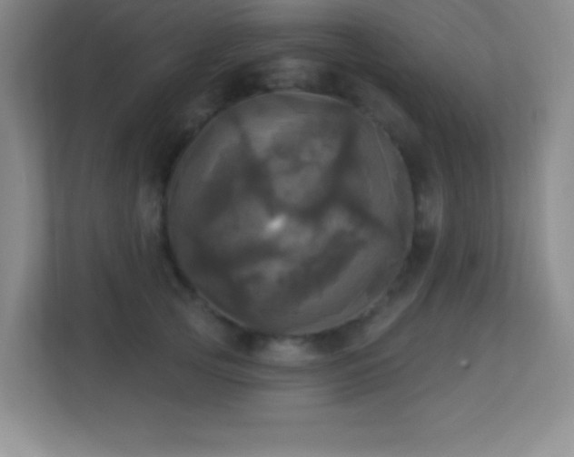 X0000113920753200909241529