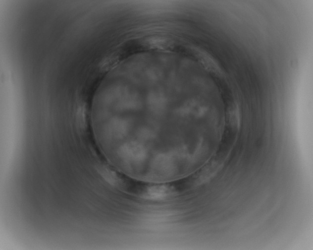 X0000113920757200909241530