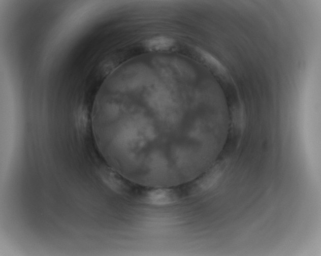 X0000113920761200909241530