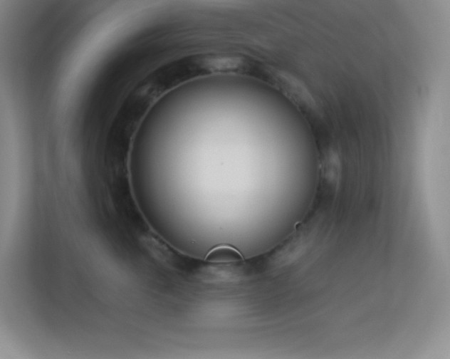 X0000113920763200909241530