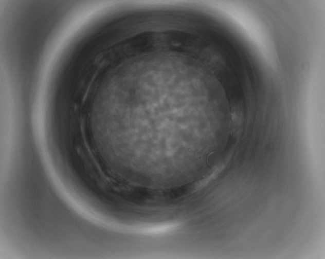 X0000113920765200909241530