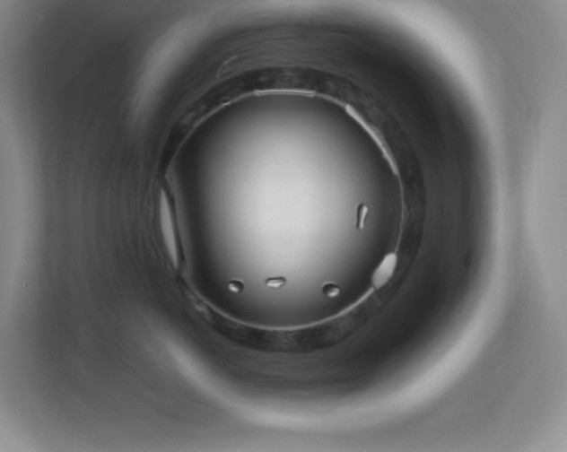 X0000113920766200909241530