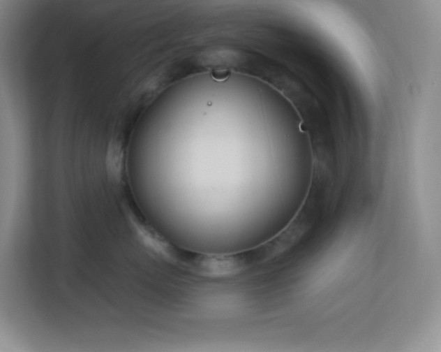 X0000113920767200909241530