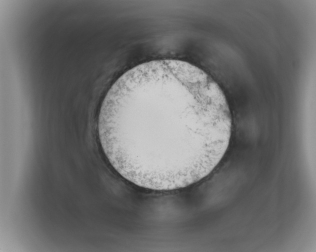 X0000113920769200909241529