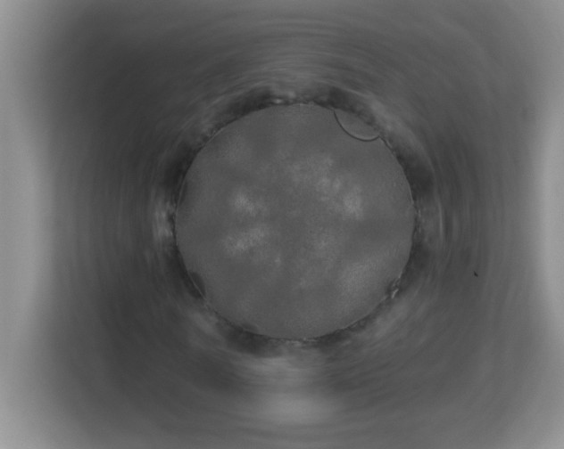 X0000113920770200909241529