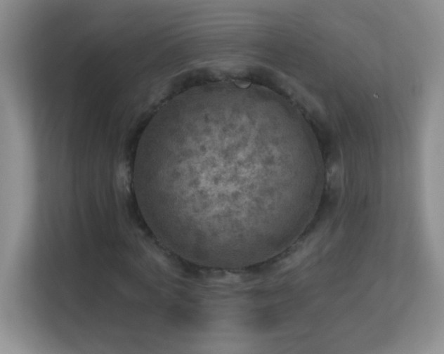 X0000113920772200909241529