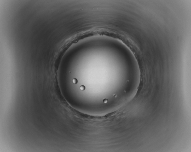 X0000113920773200909241529