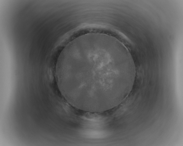 X0000113920774200909241529