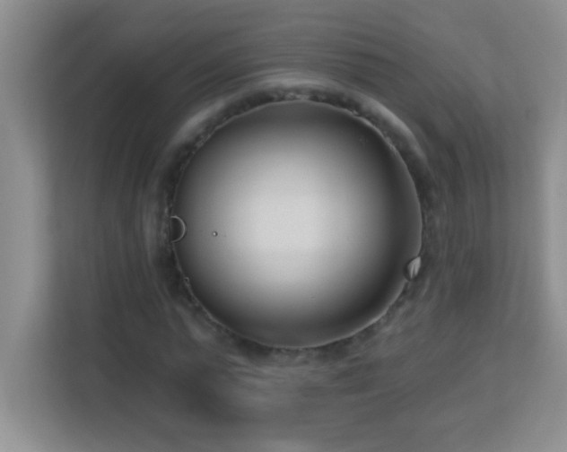 X0000113920775200909241529