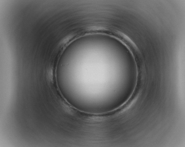 X0000113920777200909241529