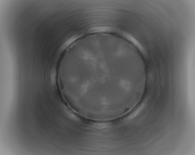 X0000113920778200909241529