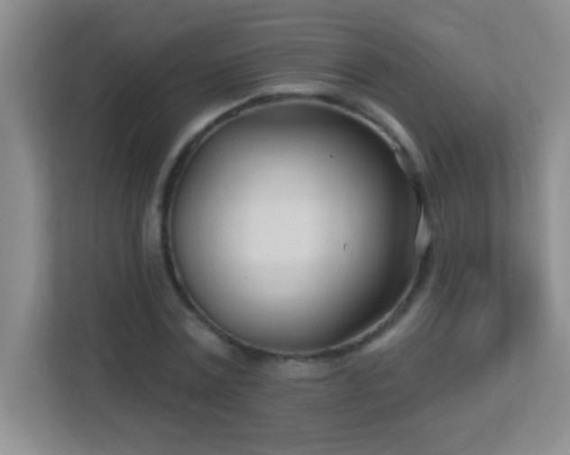 X0000113920779200909241529