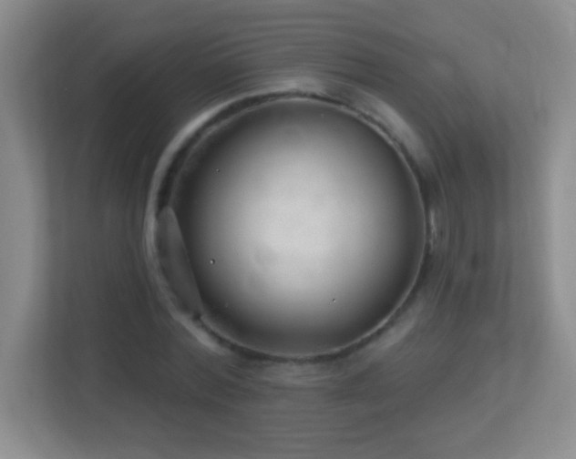 X0000113920780200909241529