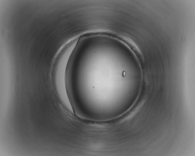 X0000113920781200909241529