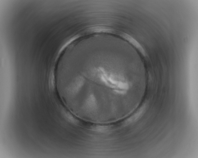 X0000113920782200909241529